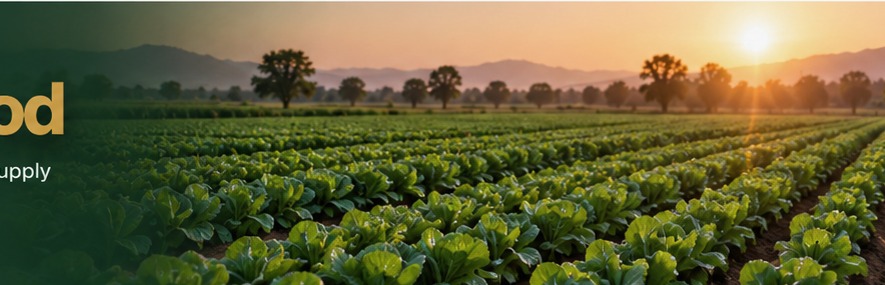 Agricultural crops and farming landscape